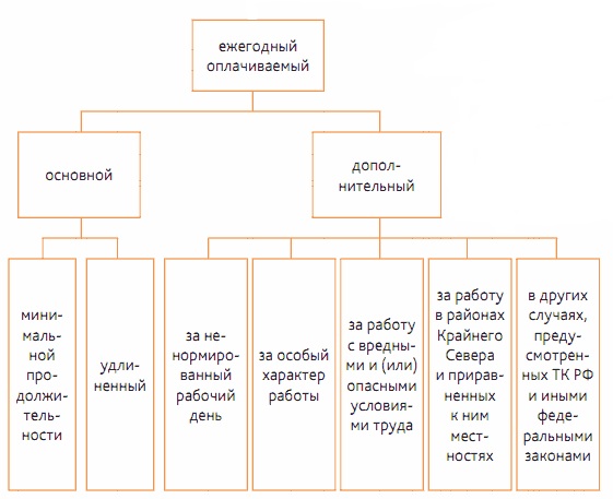 Дополнительный и основной оплачиваемый отпуск